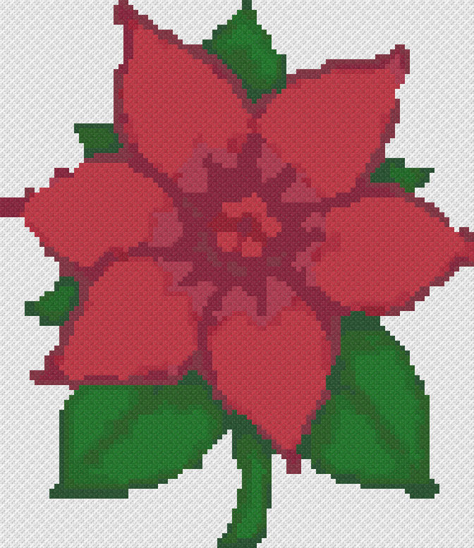 Poinsettia